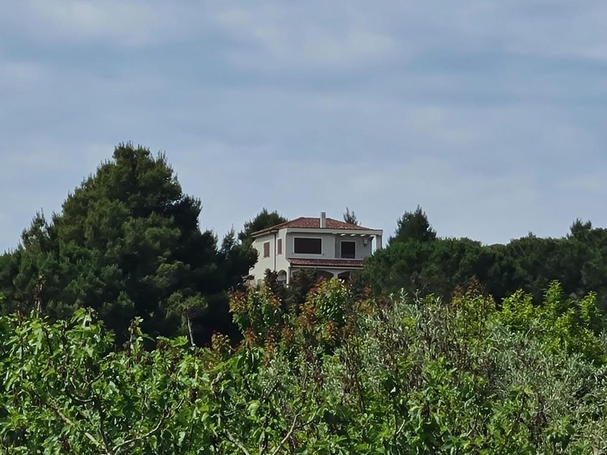 Alghero - House With Panoramic View Immersed In Full Nature Buitenkant foto
